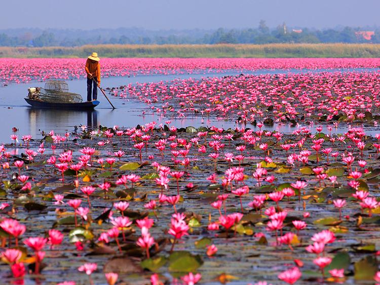 Nong Han Lake