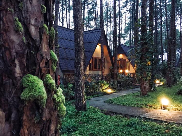 Doi Bo Luang Forest Garden