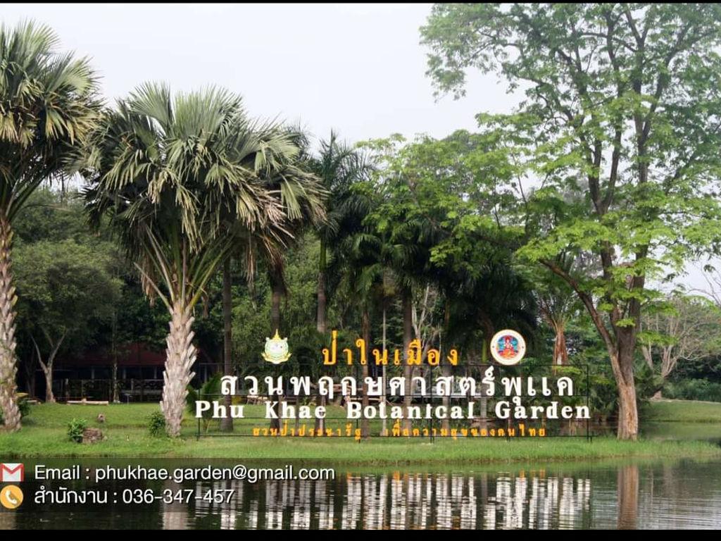 สวนพฤกษศาสตร์พุแค