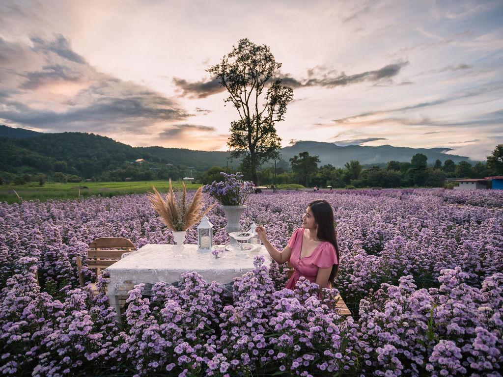กู๊เนียร์ ฟอเร็ซท (Kuv Niam Forest)