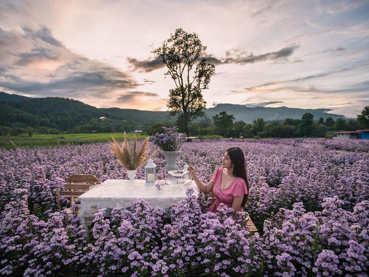 กู๊เนียร์ ฟอเร็ซท (Kuv Niam Forest)