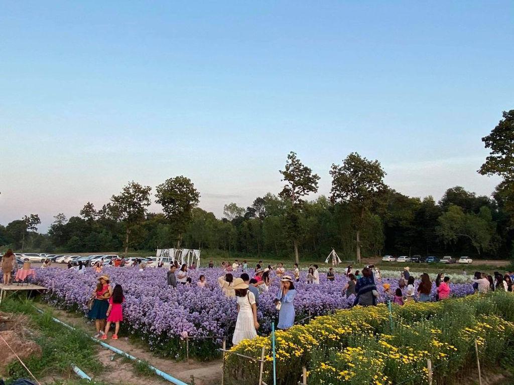 สวนแบงค์เบญจมาศ Flower Cafe