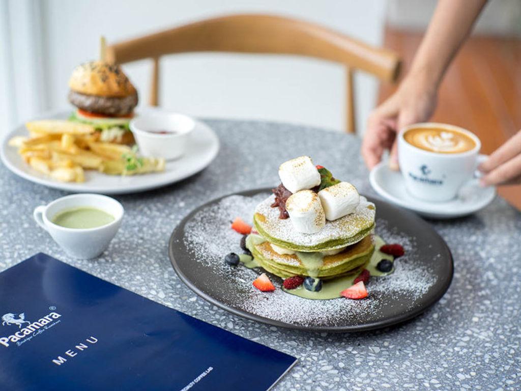 Pacamara Coffee Roaster x Specialty Coffee Lab