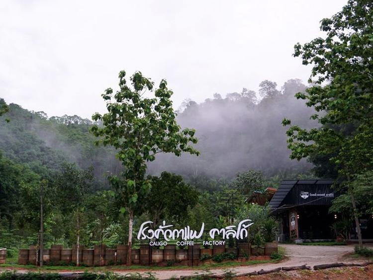 โรงคั่วกาแฟคาลิโก้ (Caligo Coffee)