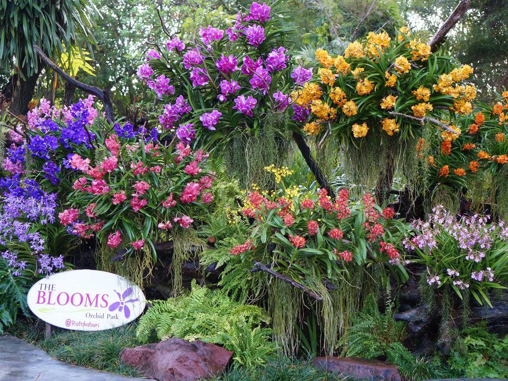 The Blooms Orchid Park