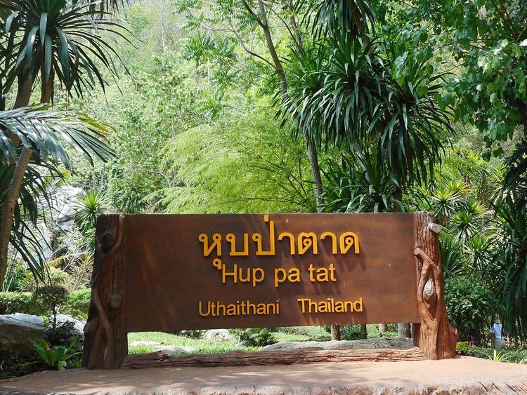 หุบป่าตาด