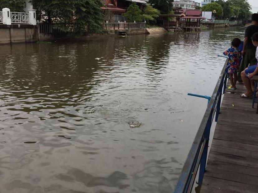 Sai Noi floating market