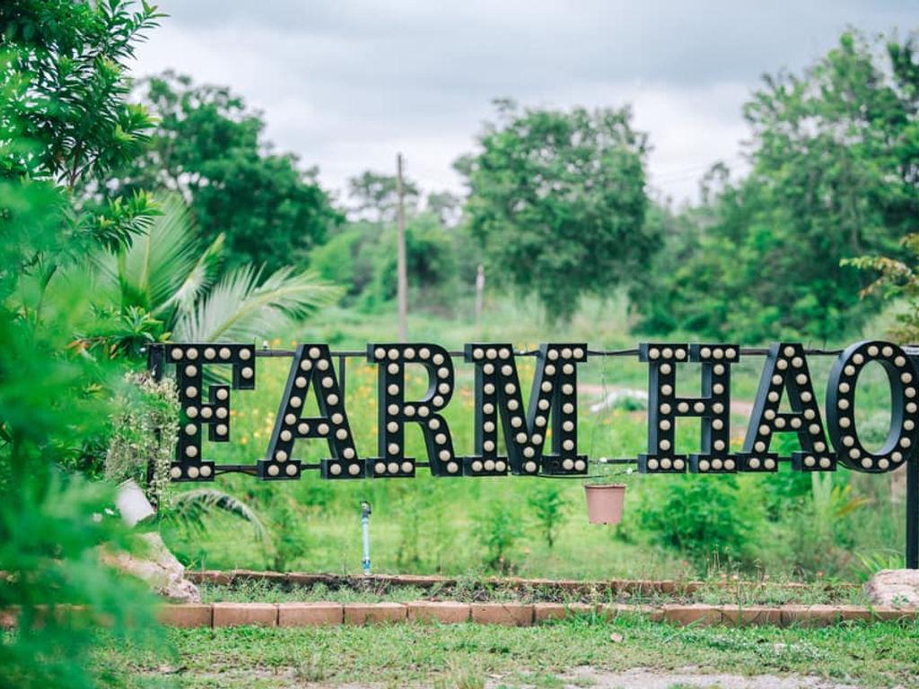 Farm Hao Cafe Farm Hao Cafe