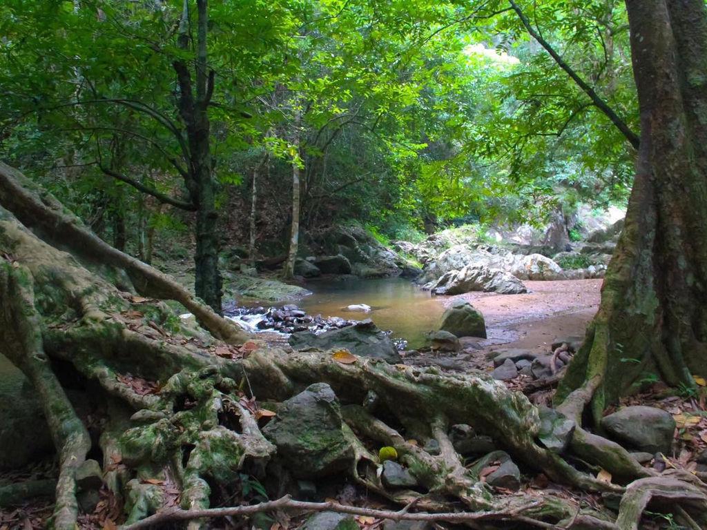 อุทยานแห่งชาติน้ำตกทรายขาว
