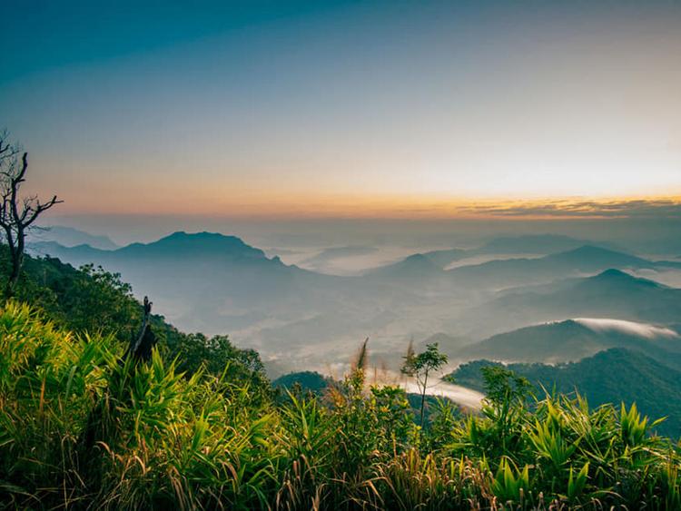 อุทยานแห่งชาติภูซาง