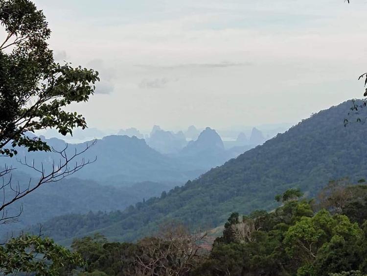 เขตรักษาพันธุ์สัตว์ป่าโตนปริวรรต