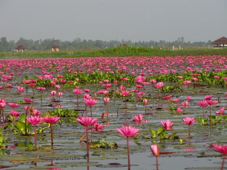 Thale Noi