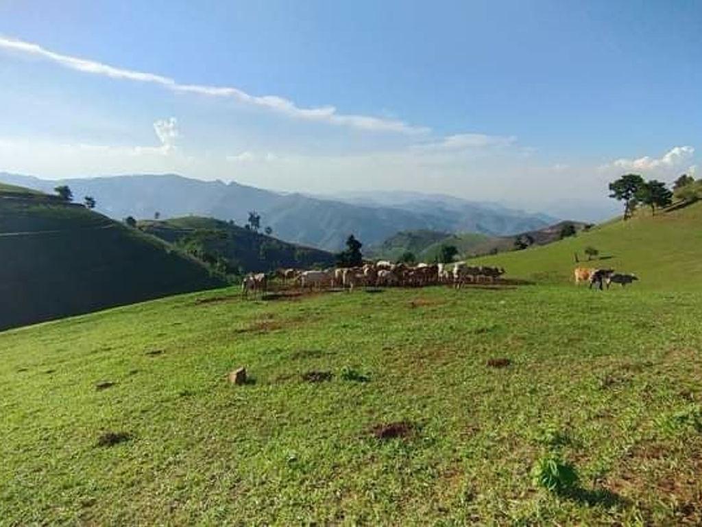 จุดชมวิวบริเวณที่ทำการอุทยานแห่งชาติแม่โถ