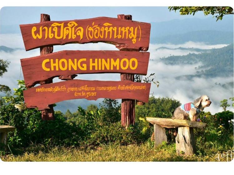 Pha Peet Jai, 春蓬