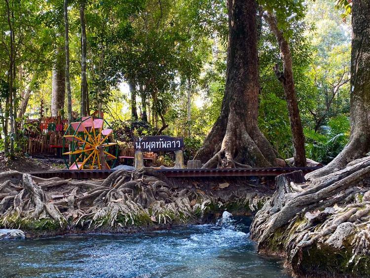 สวนรุกขชาติน้ำผุดทัพลาว