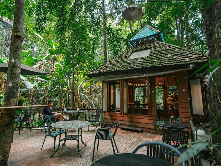 Teddu Coffee Cafe แม่กำปอง