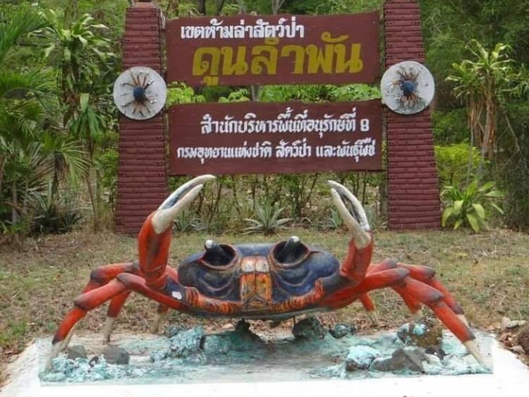 เขตห้ามล่าสัตว์ป่าดูนลำพัน (ปูทูลกระหม่อม )
