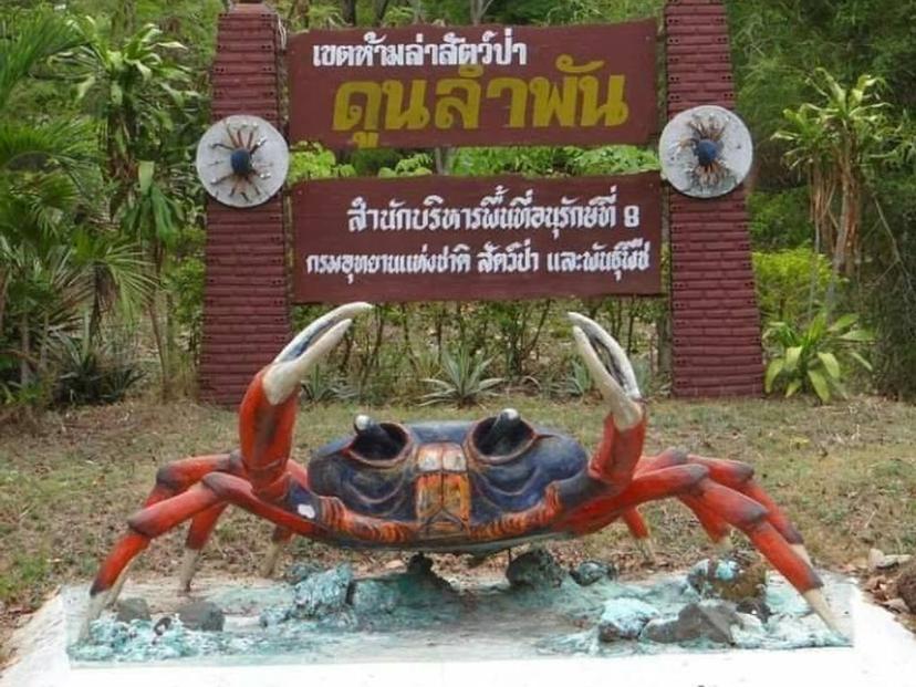 เขตห้ามล่าสัตว์ป่าดูนลำพัน (ปูทูลกระหม่อม )