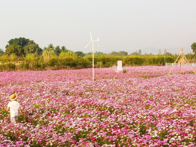 Baan Rai Nai Rung
