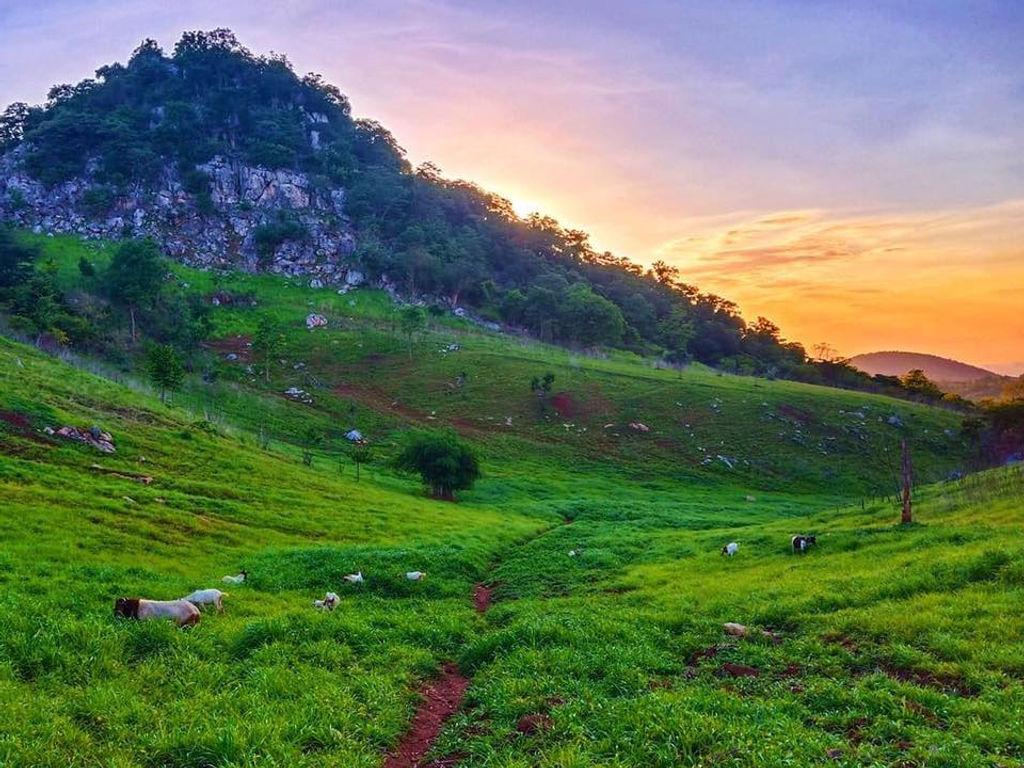 artificial rain plantation