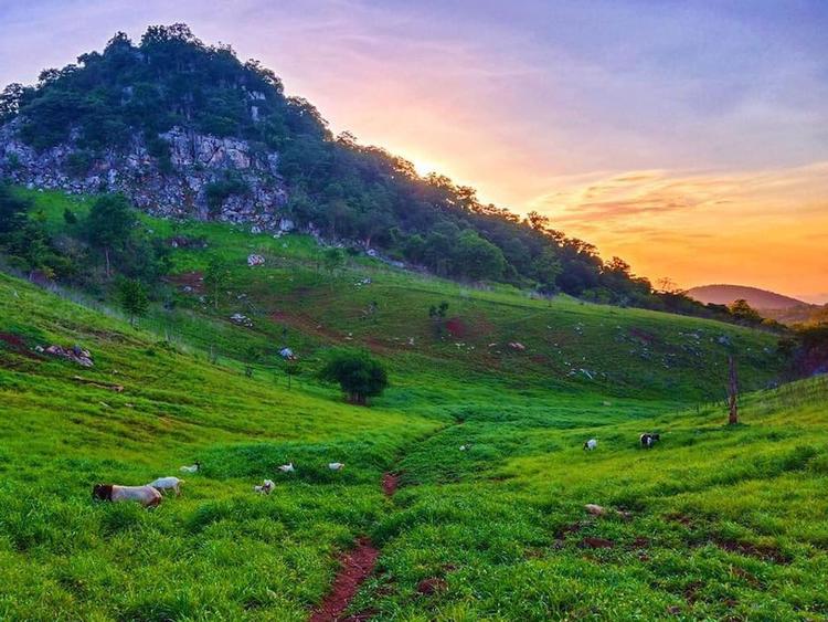 artificial rain plantation