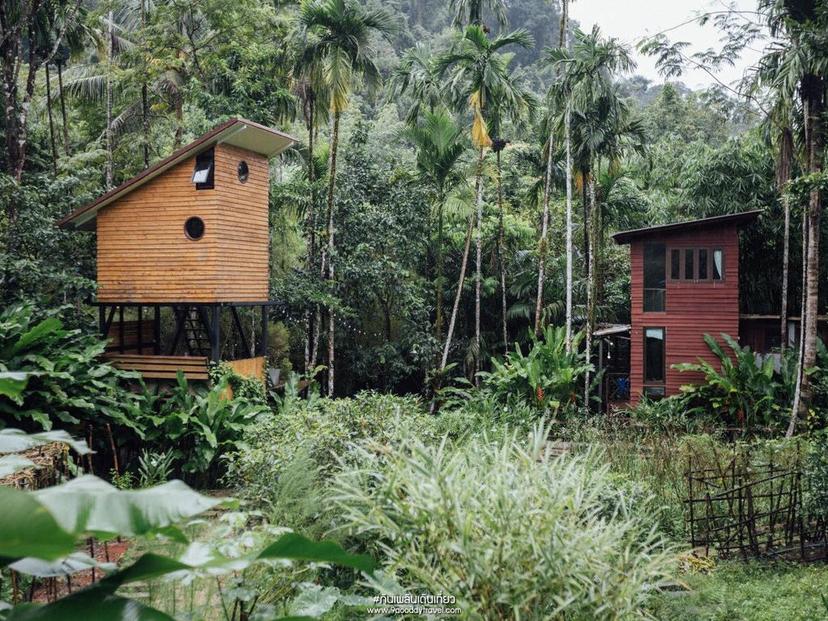 บ้านในหมง treehouse
