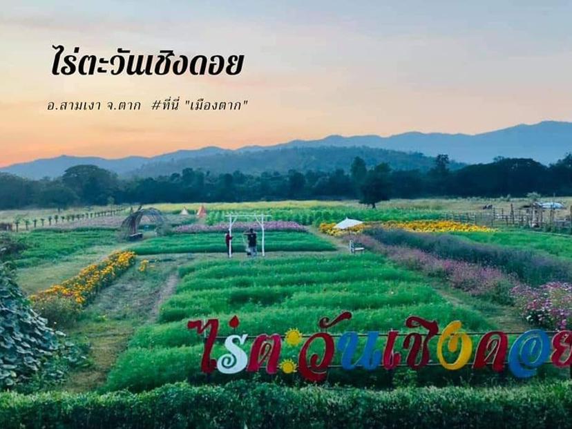 ไร่ตะวันเชิงดอย