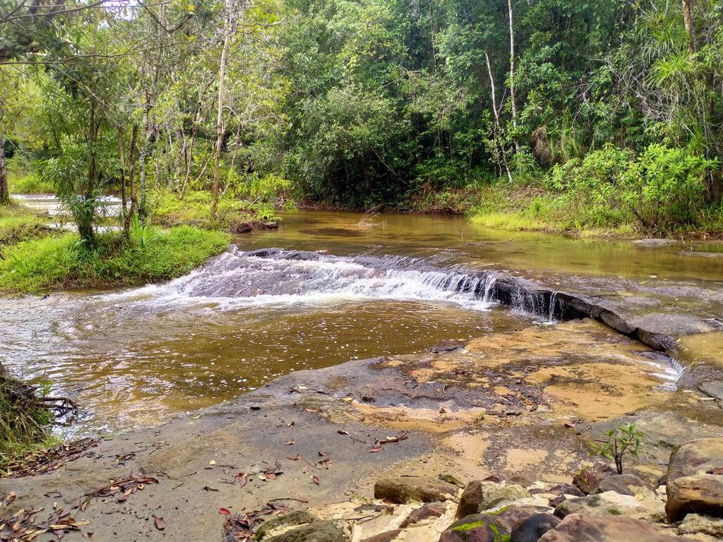 อุทยานแห่งชาติภูจองนายอย