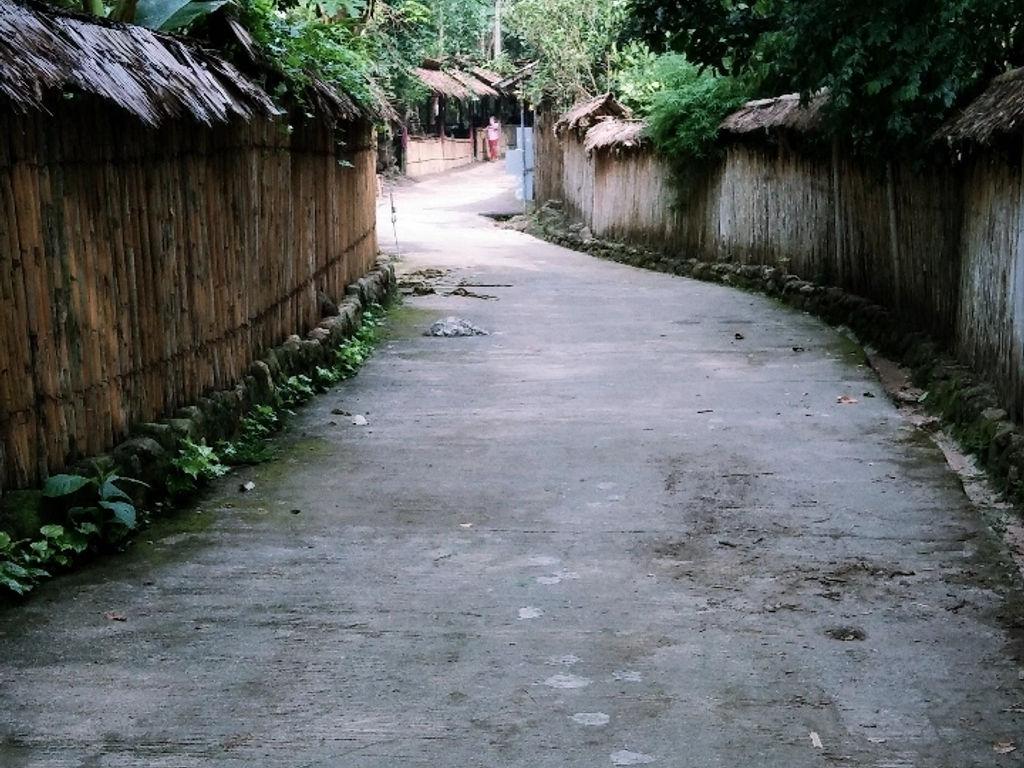 淮南赛村