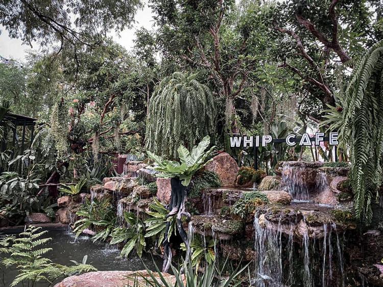 WHIP CAFE Bangsaen