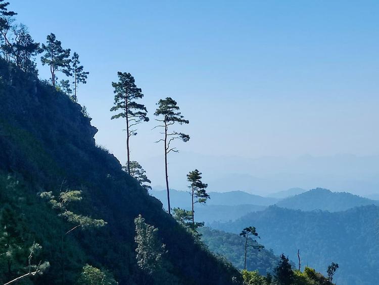 Doi Wiang Pha 国家公园