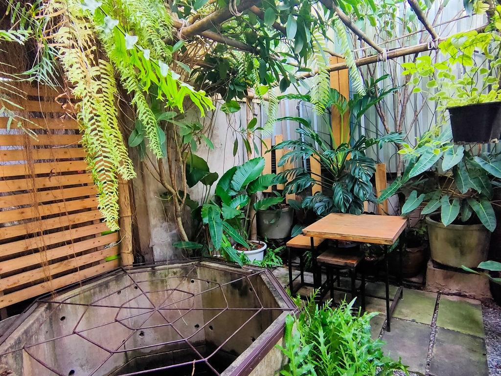 Coffee Trees Phrarot City