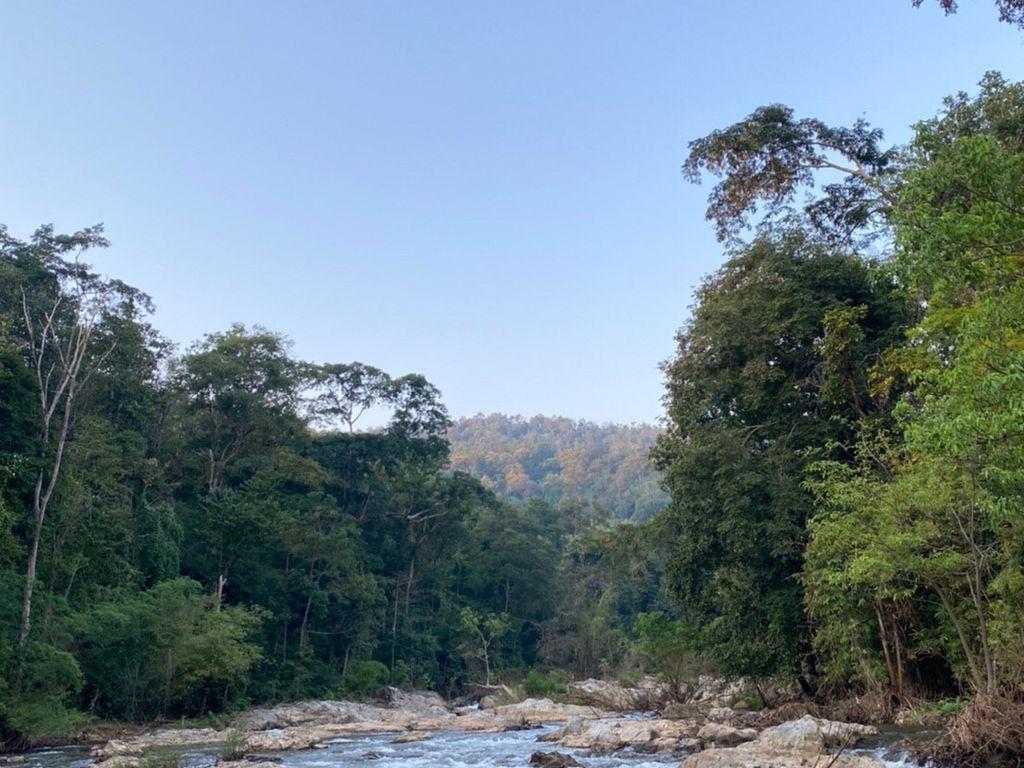 อุทยานแห่งชาติคลองวังเจ้า