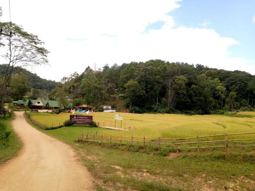 Little House in the Big Forest Project under the Royal Initiative, Doi Dam