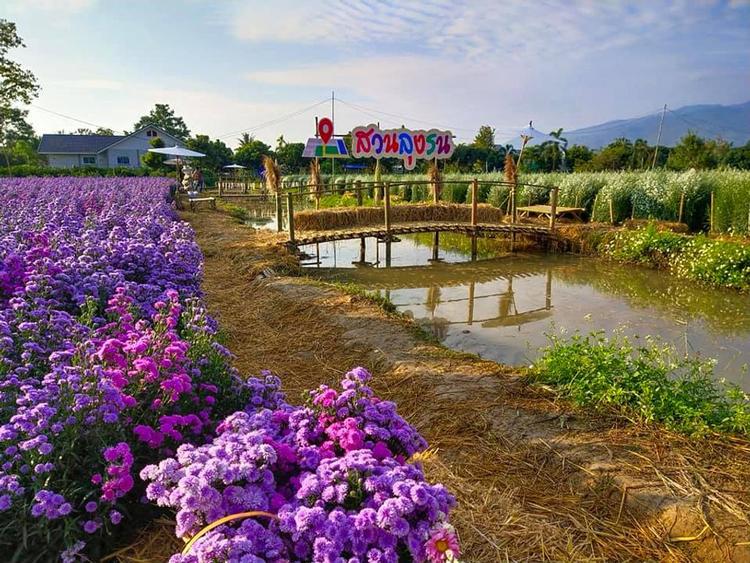 龙荣花园
