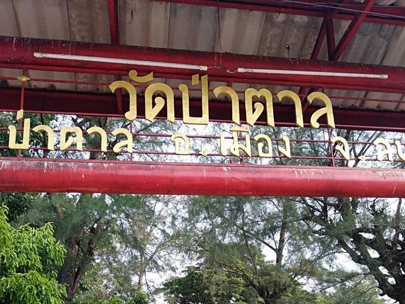 วัดป่าตาล