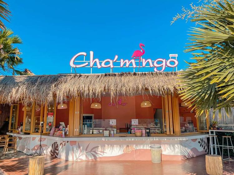 Chamingo-ชามิงโก้ บางแสน