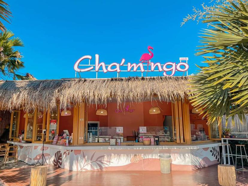 Chamingo-ชามิงโก้ บางแสน