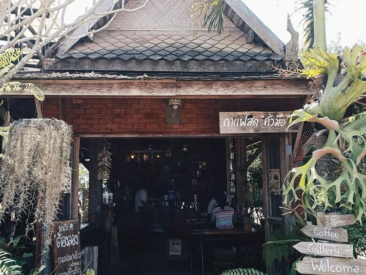 Baan Nork Kok Na Farm Coffee & Gallery