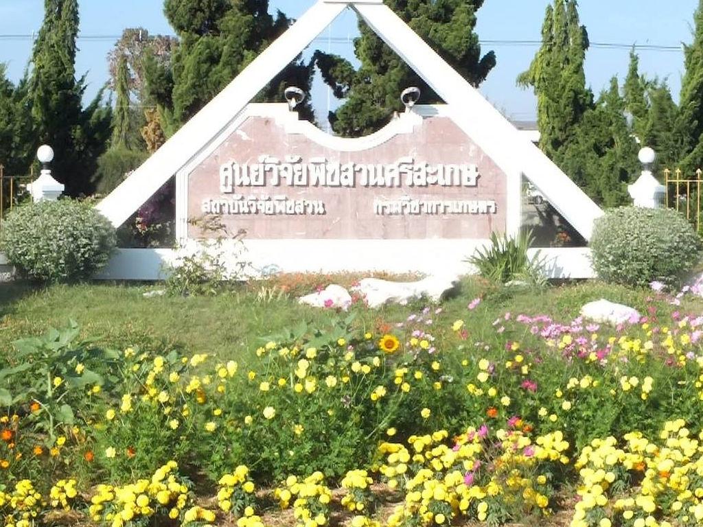 ศูนย์วิจัยพืชสวน ศรีสะเกษ