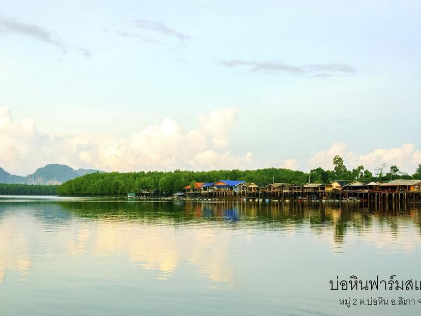 บ่อหินฟาร์มสเตย์
