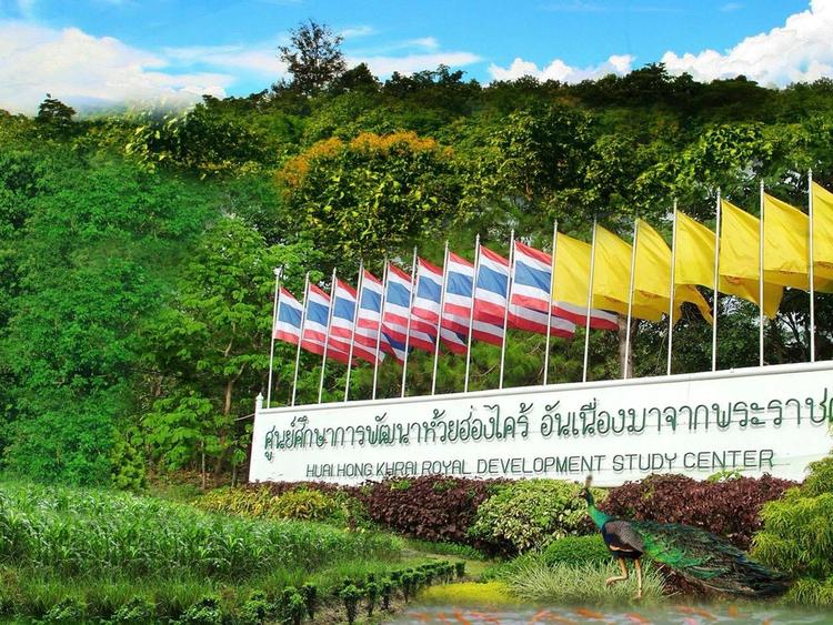 ศูนย์ศึกษาการพัฒนาห้วยฮ่องไคร้อันเนื่องมาจากพระราชดำริ