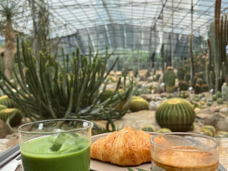 Botanist activity space & cafe