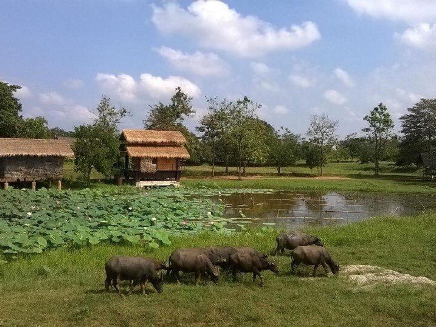 โรงเรียนกาสรกสิวิทย์