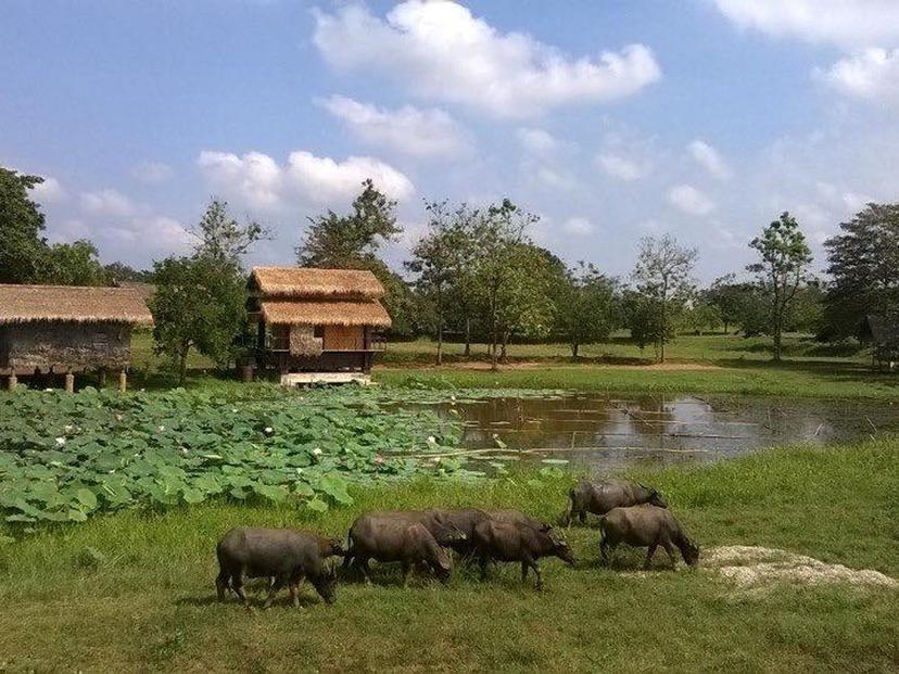 โรงเรียนกาสรกสิวิทย์