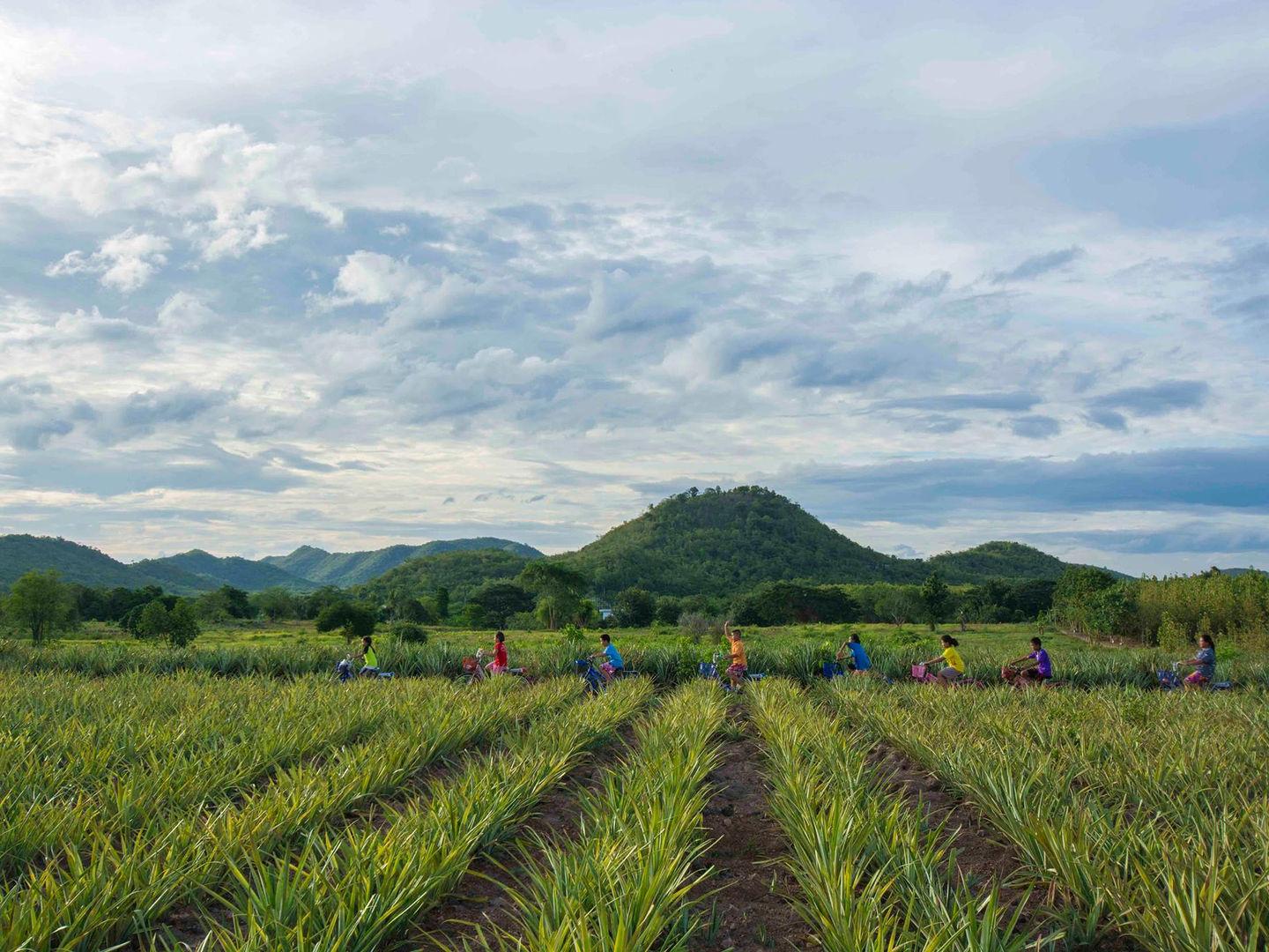 Ban Tham Suea 民宿