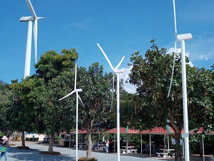 Khao Yai Thiang 风车