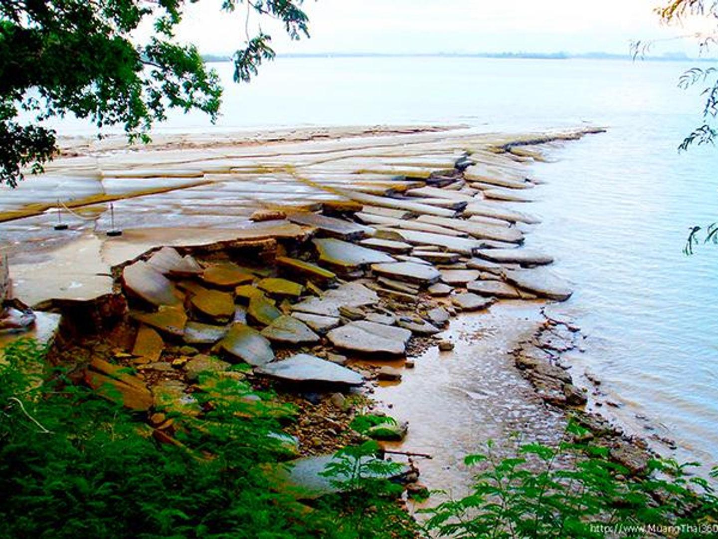 Shell cemetery 75 million years old