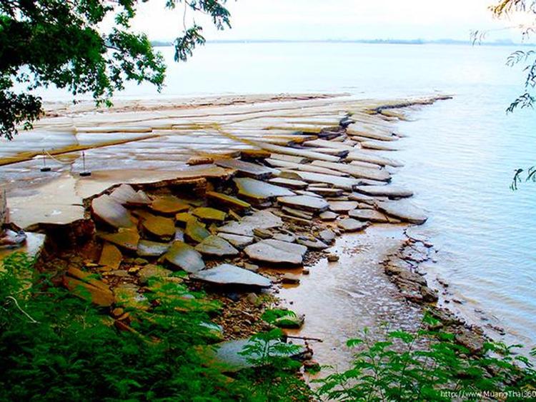 Shell cemetery 75 million years old