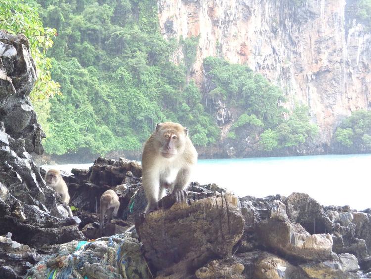 猴子湾